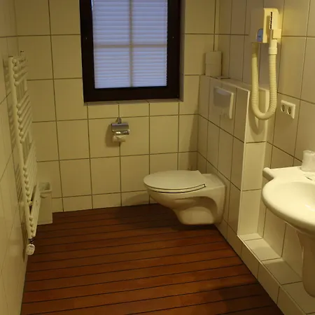 凯撒霍夫酒店 酒店 莱尔特